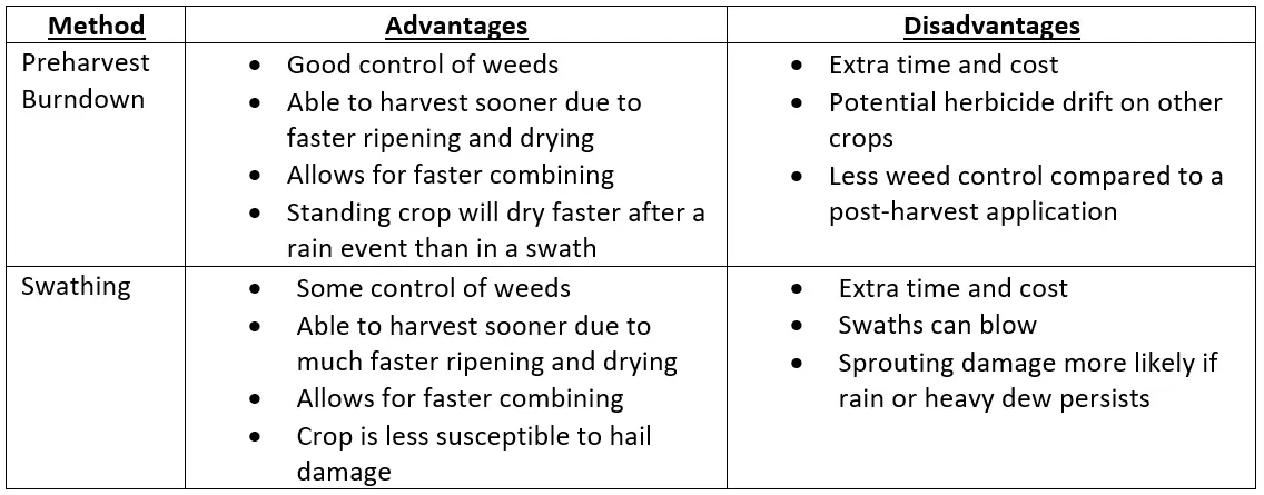 Pre-harvest vs. swathing advantages and disadvantages