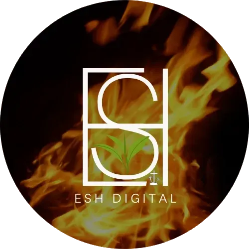 seo services san diego