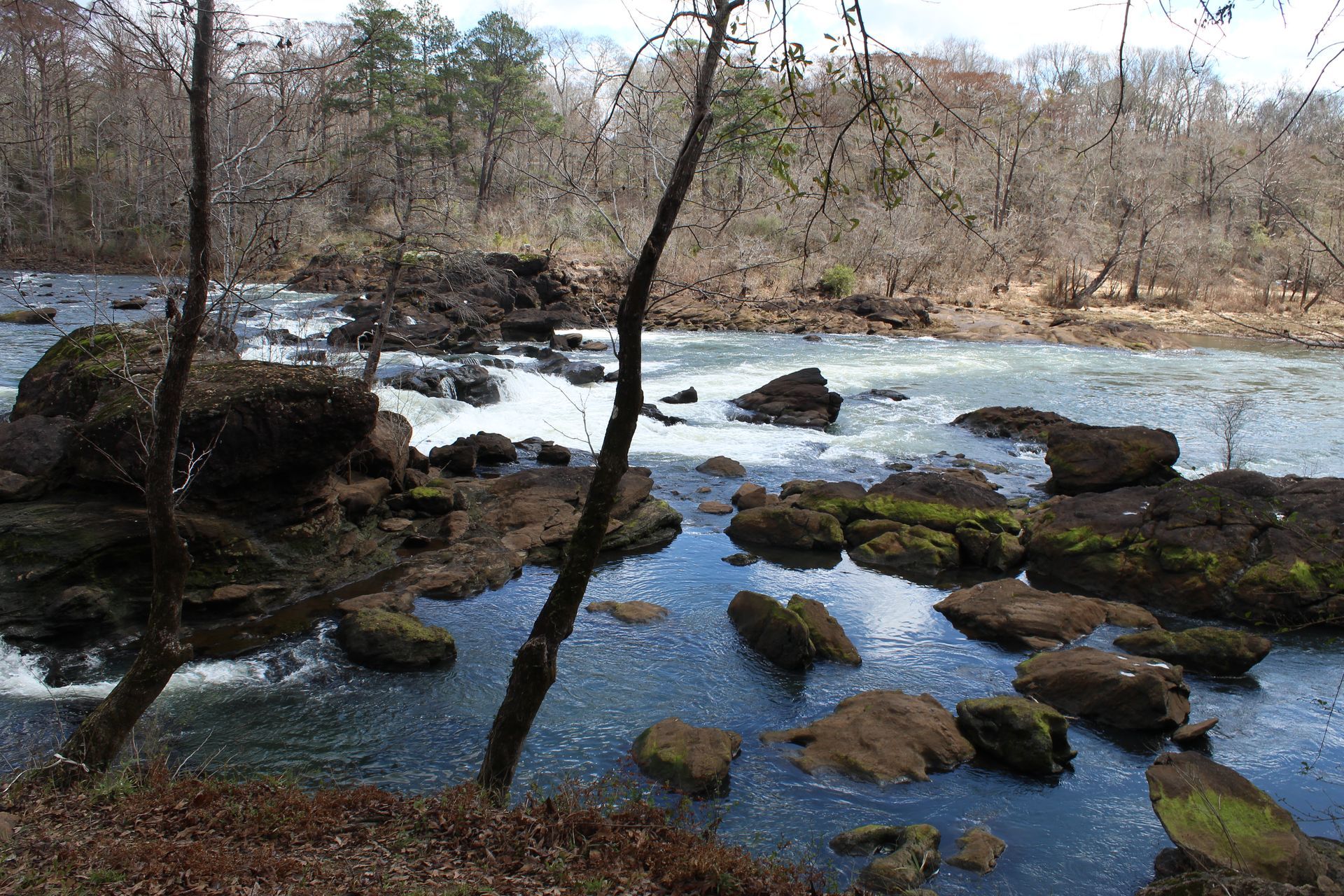 the tallapoosa river beneath tallassee looks gorgeous from the big eddy riverfront park