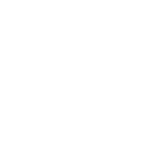Areas of Practice