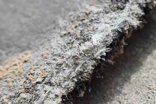 Asbestos Removal - bathroom in Rosslea, QLD