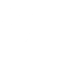 International Patent Law
