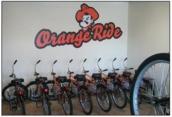 Row of orange rental bikes under 
