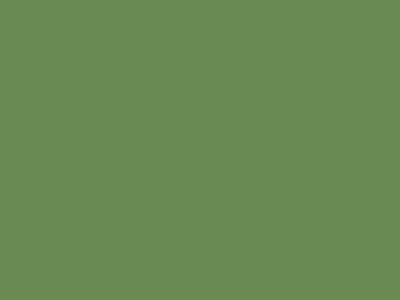 Light green background.