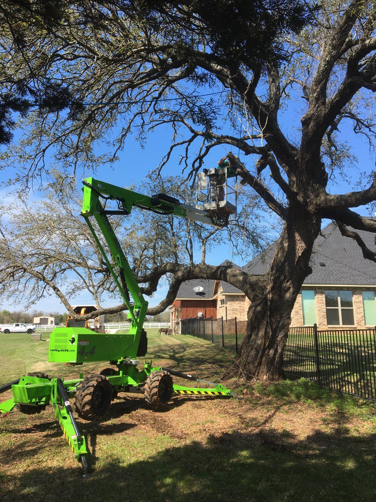 A green lift truck with an arm extending to trim a large tree in a residential yard.