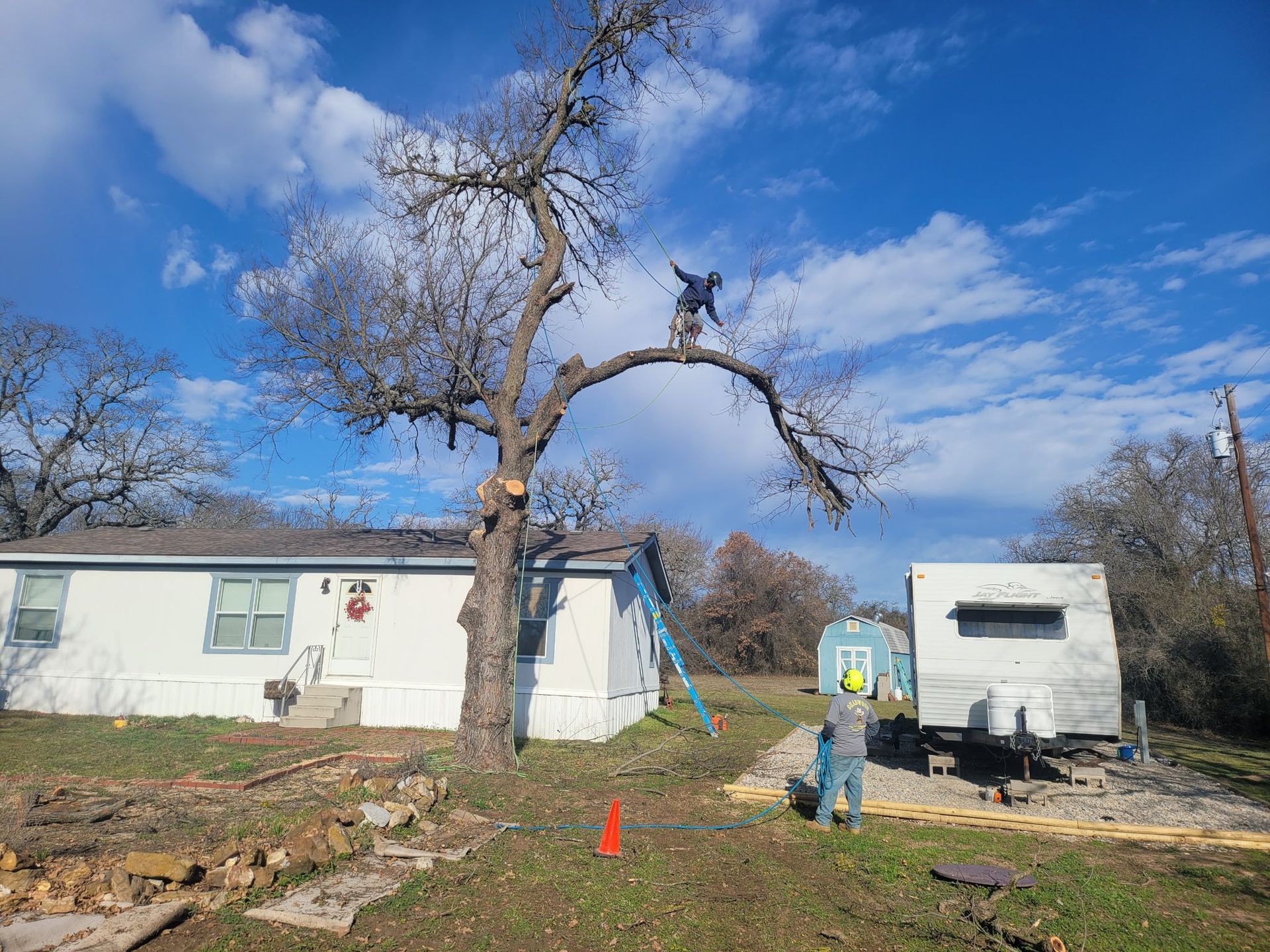 Man in tree trimming branches, another on ground, near house and trailer on a sunny day.