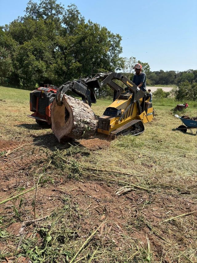 Man operating a stump grinder, removing a tree stump in an outdoor grassy area on a sunny day.