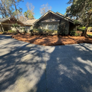 Single-story house with a covered porch and driveway under trees, with long shadows on the pavement