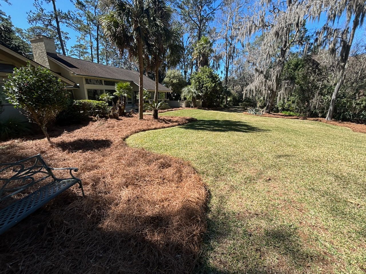 Tree-lined backyard with grass, mulch, and a house patio in the shade