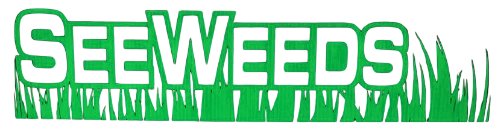 SeeWeeds logo with green grass graphic and text: Landscaping and Tree Services, Commercial & Residential