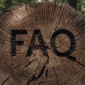 FAQ carved into a tree stump in a forest setting