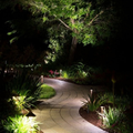 Curved garden path lit by small lights at night, surrounded by lush plants and trees