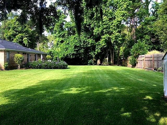 Sunny backyard lawn with trees, a house on the left, and a wooden fence on the right