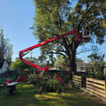 Red crane lifting branches in a backyard beside a large tree and wooden fence