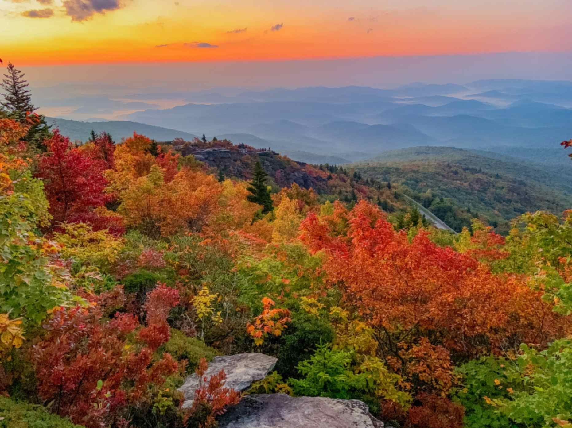 Autumn forest overlooking misty mountains at sunset, with vibrant red, orange, and green foliage.