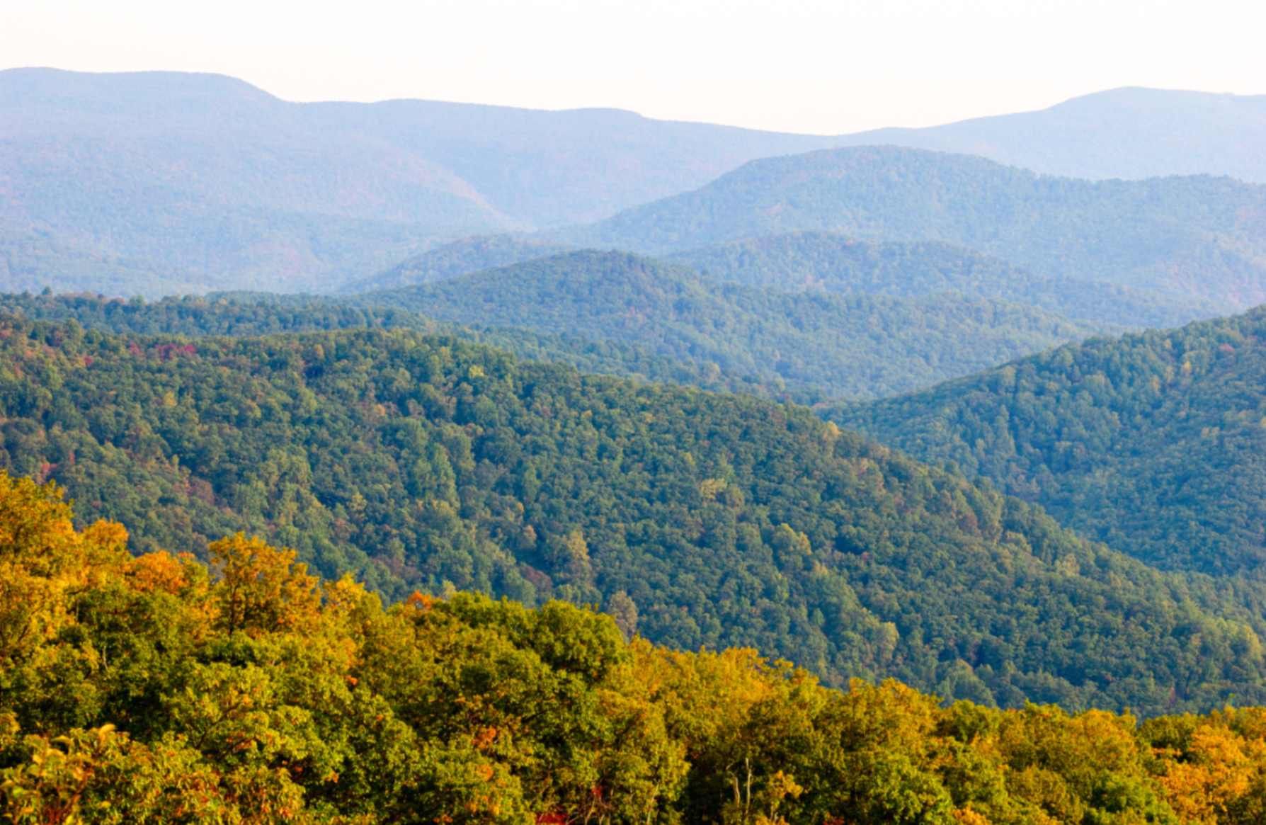 Layered blue mountains with autumn-colored forest in the foreground under a hazy sky