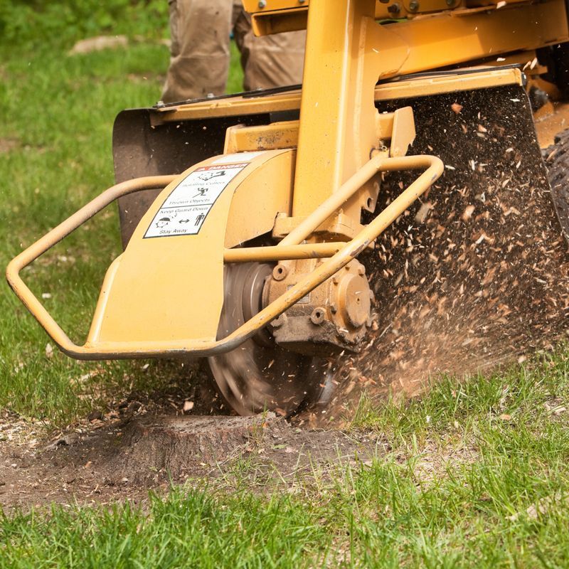 Full Stump Grinding — Majors Creek, QLD — Peter the Tree Men