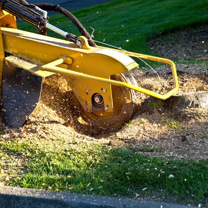 Stump Grinding — Majors Creek, QLD — Peter the Tree Men