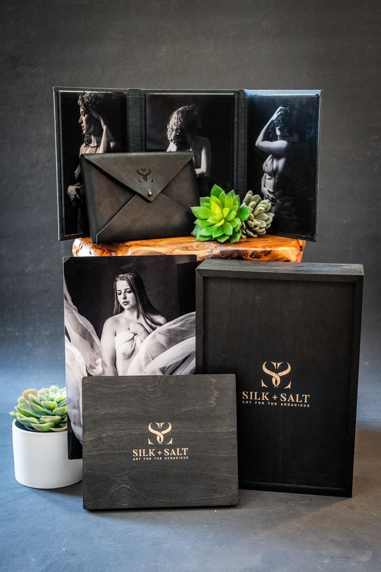  A black box containing various photos alongside a vibrant green plant, creating a visually appealing arrangement.