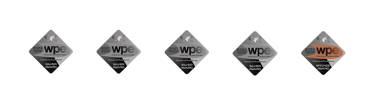 Silver Awards