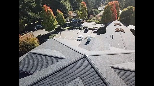olympia roof repair