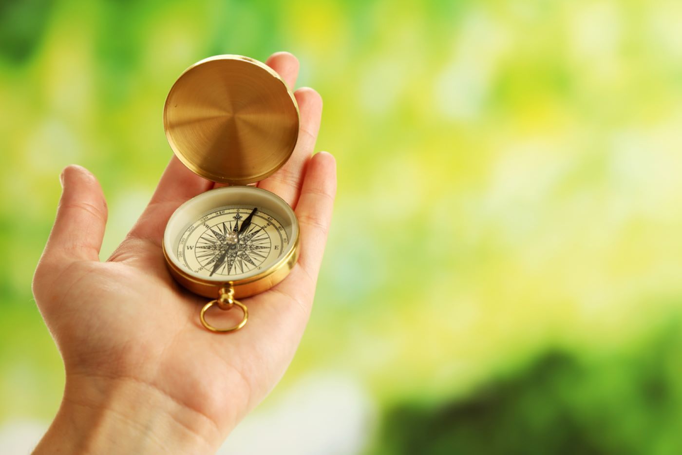 A Person Is Holding a Compass in Their Hand — Moving Beyond OK In Meadowbrook, QLD
