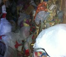 Full of Junk - Lake Katrine, NY - Bill’s Junk Be Gone