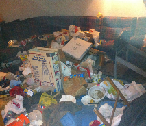 Overflow Junk - Lake Katrine, NY - Bill’s Junk Be Gone