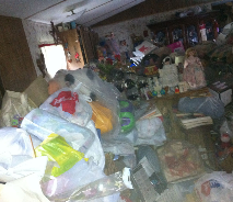 Junk - Lake Katrine, NY - Bill’s Junk Be Gone