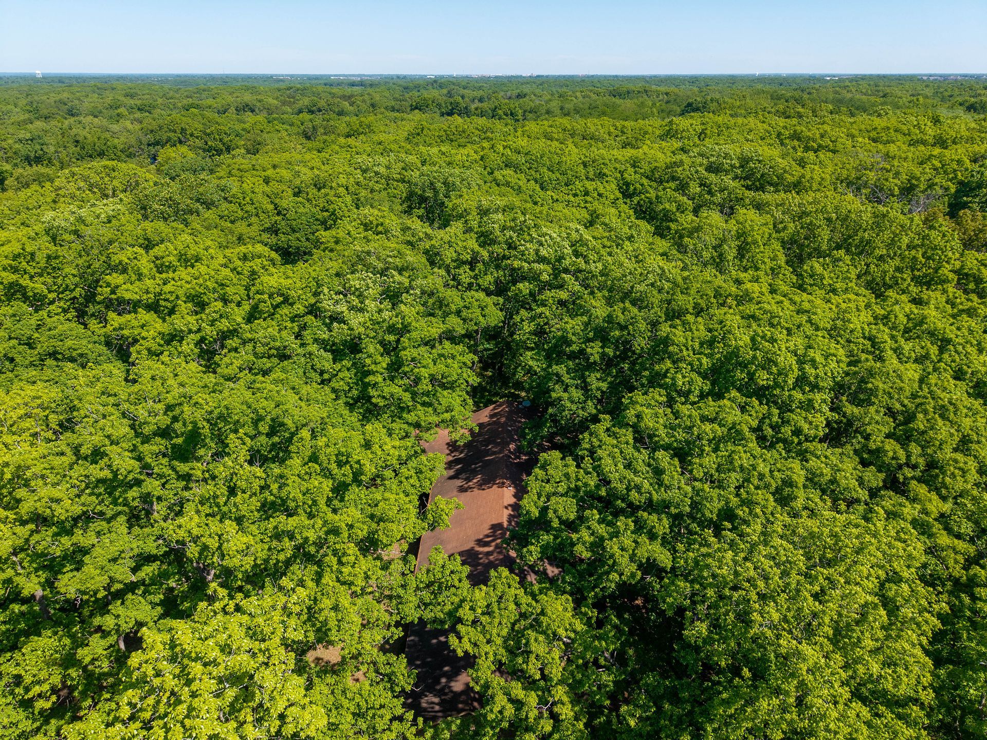 Real Estate Auction Sells for $493,000 In Colmbia, MO Near Rock Bridge State Park