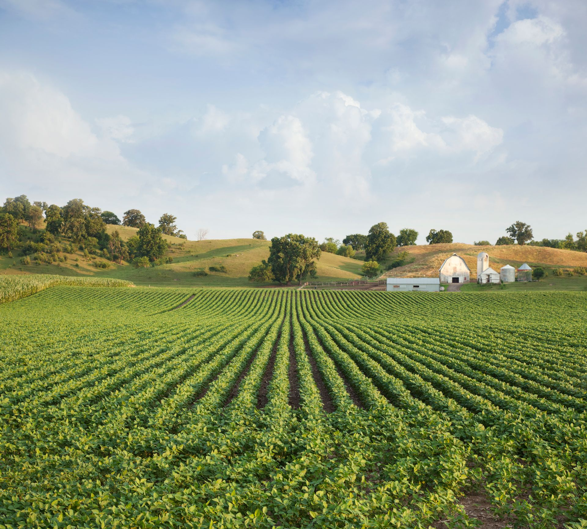 Atterberry Auction & Realty Is Mid-Missouri's #1 Land Auction Company.