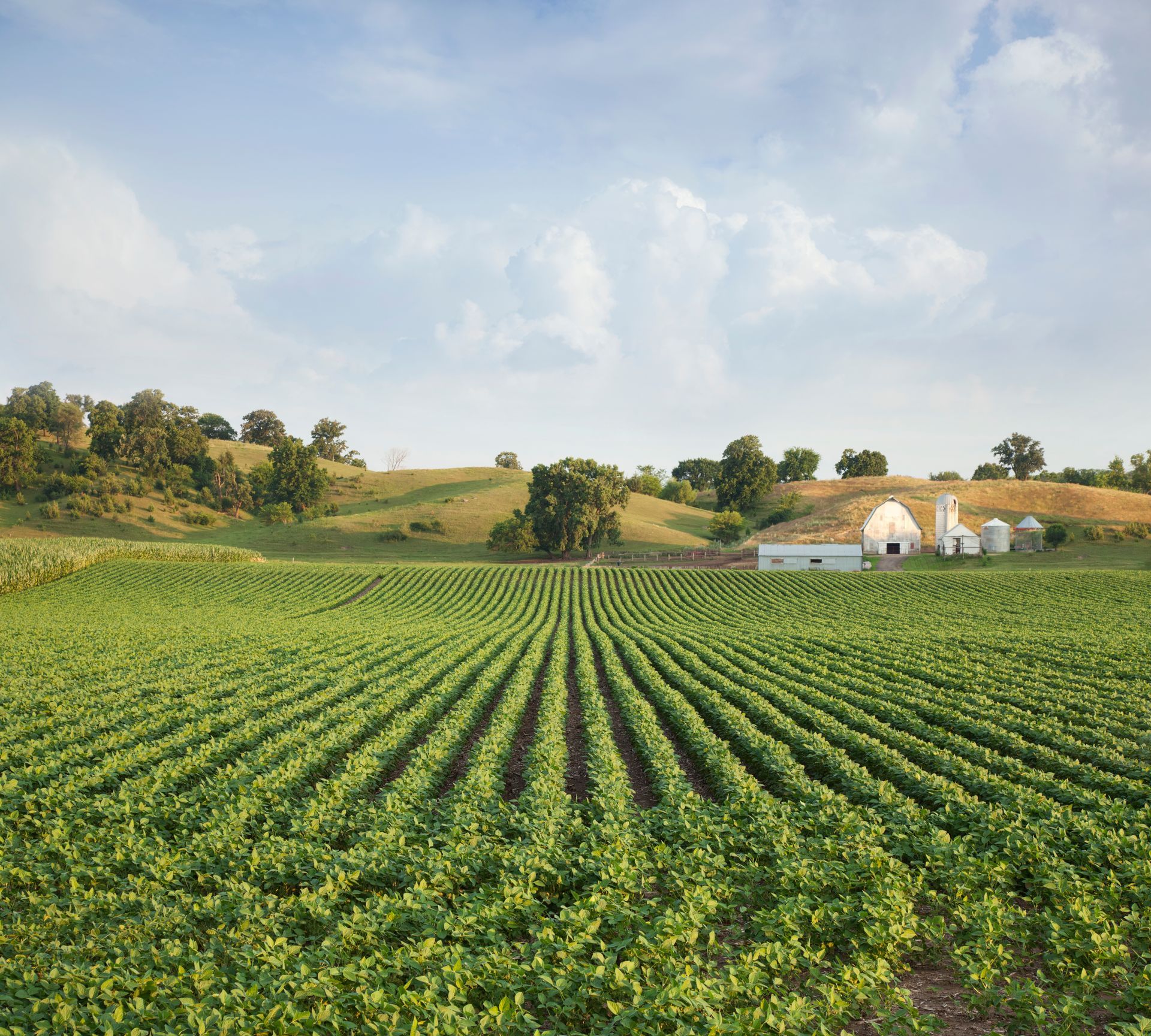 Agriculture Real Estate Auctions & Land Auctions