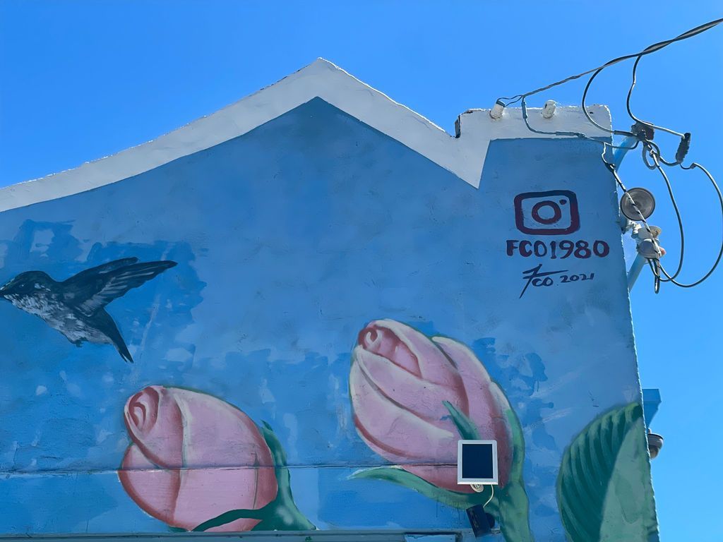 mural calle willow