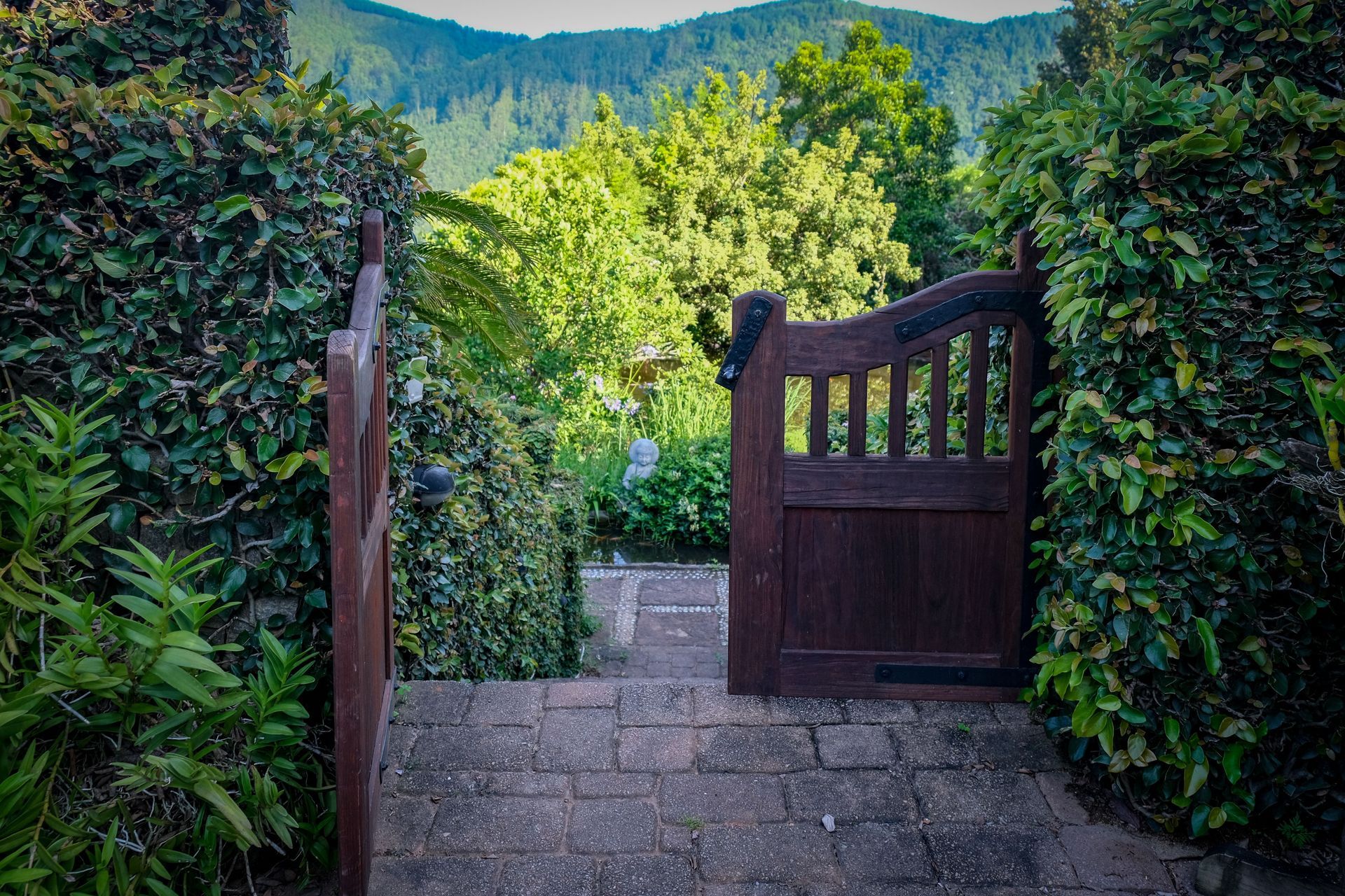 Open wooden garden gate on a stone path between hedges