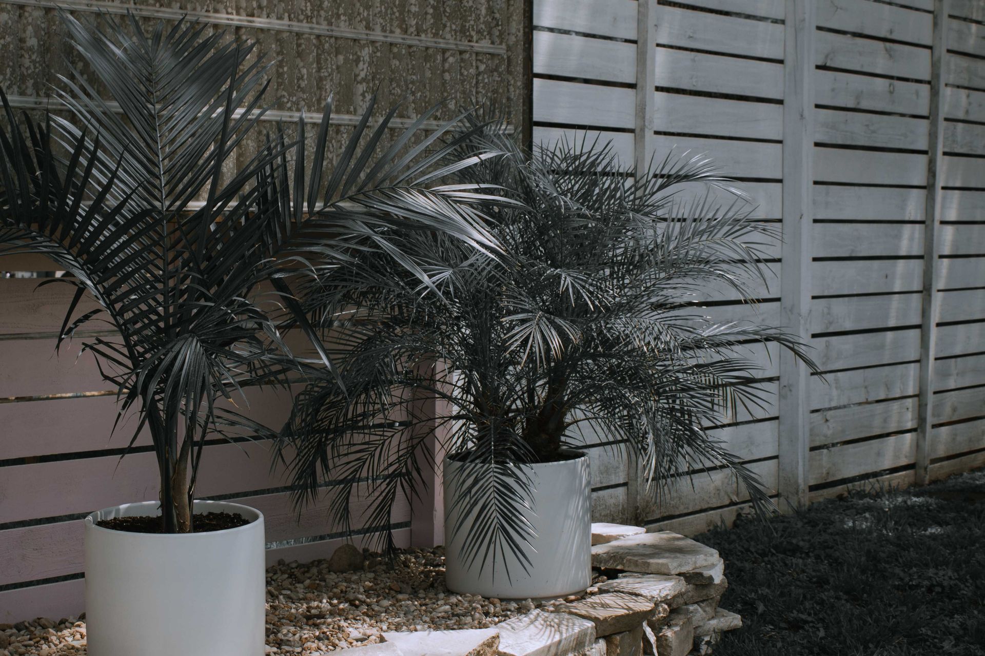 Grey slatted garden fence with potted plants