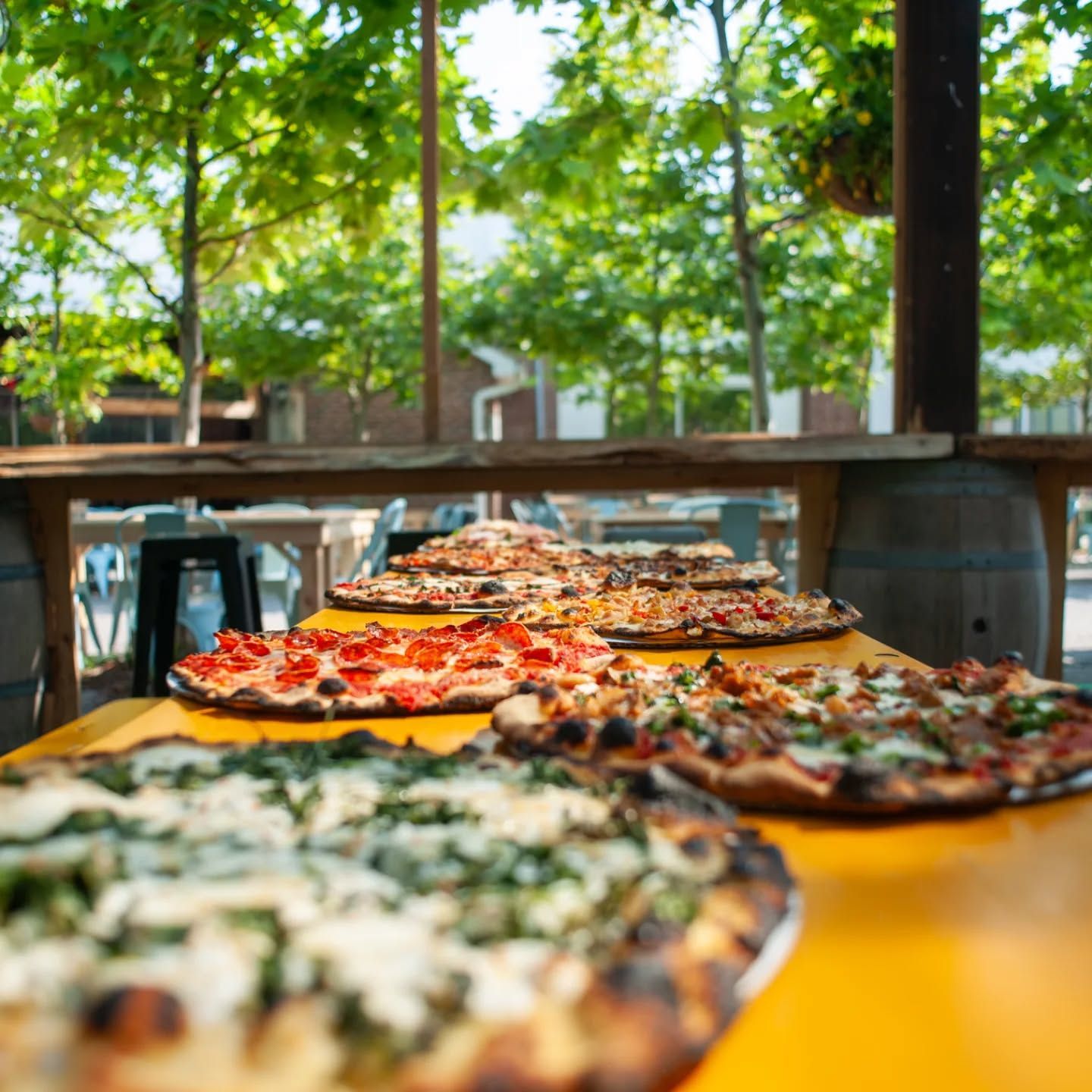 Pizzas on yellow table outdoors. Several pies with various toppings in front of a blurred green tree background.
