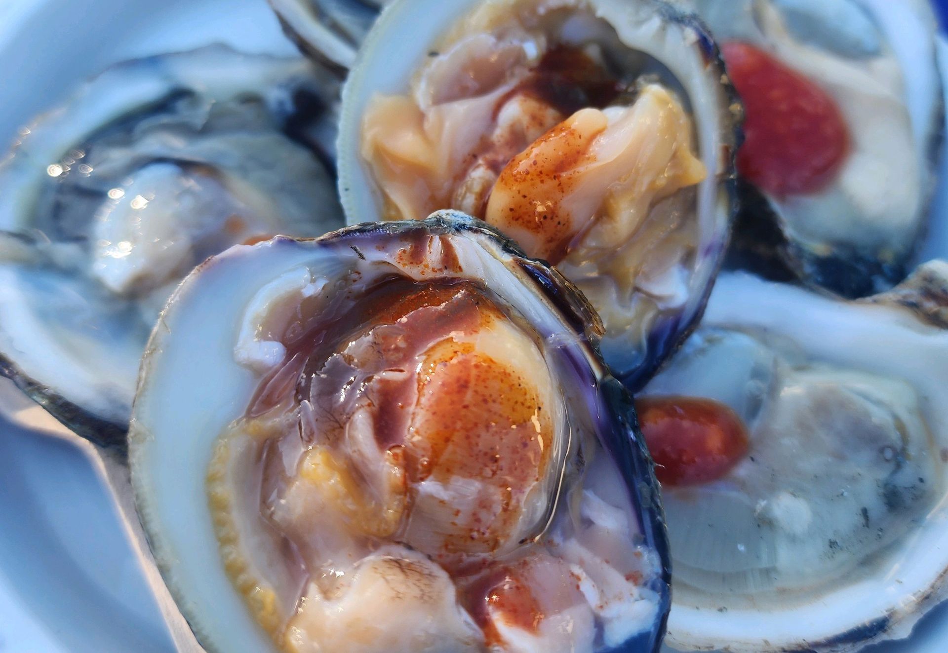 Close-up of fresh oysters on the half shell with ice and orange garnish
