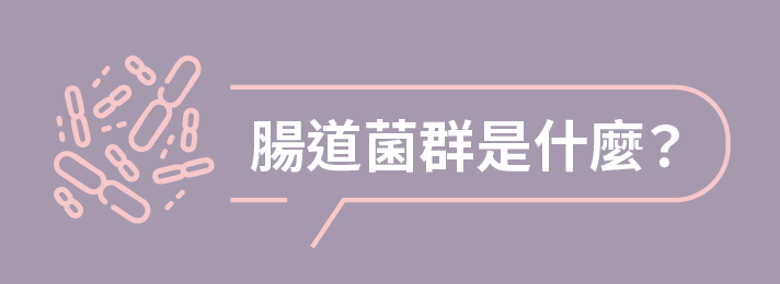 腸道菌群是什麼? 腸道菌群是什麼?