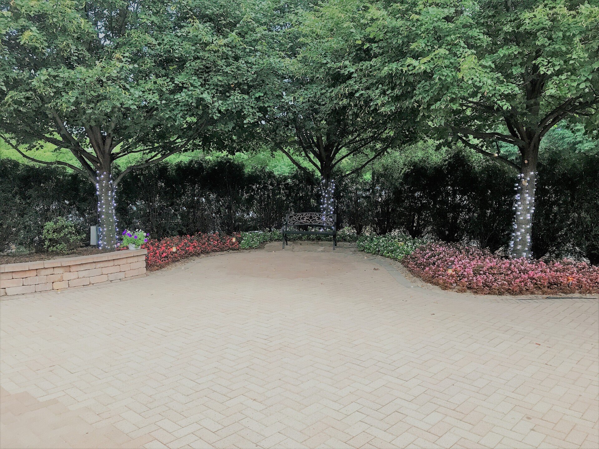 Gallery Orland Park, IL Orland Chateau