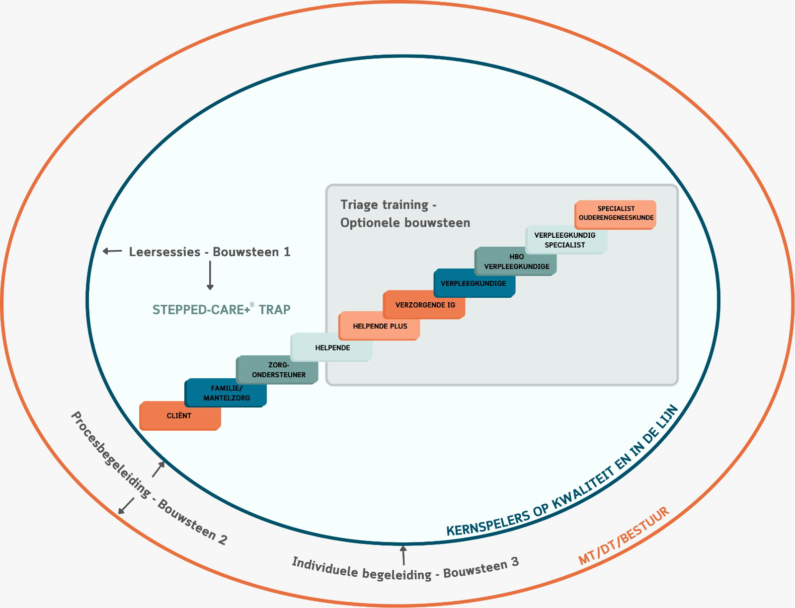 Cirkeldiagram met gekleurde oplopende treden en gelabelde stadia binnen concentrische oranje en blauwe ringen.