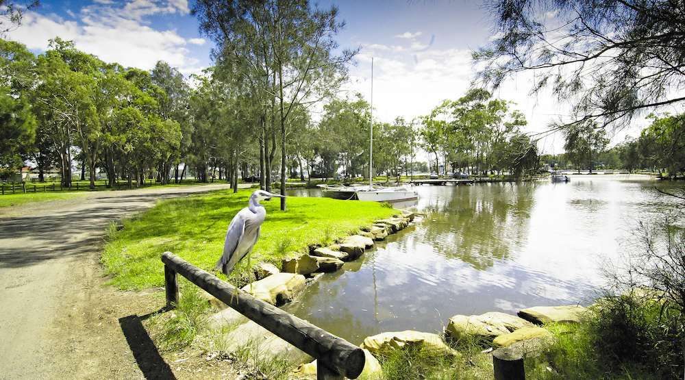 A Bird Is Sitting On A Railing Next To A River — All Clean Auto Detailing In Summerland Point, NSW