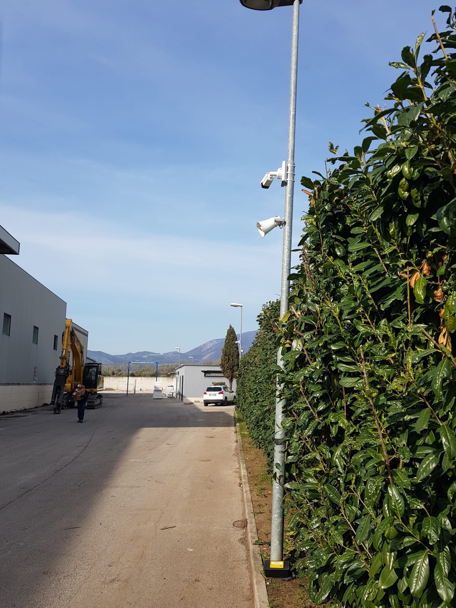 Una strada con molti alberi e un edificio sullo sfondo
