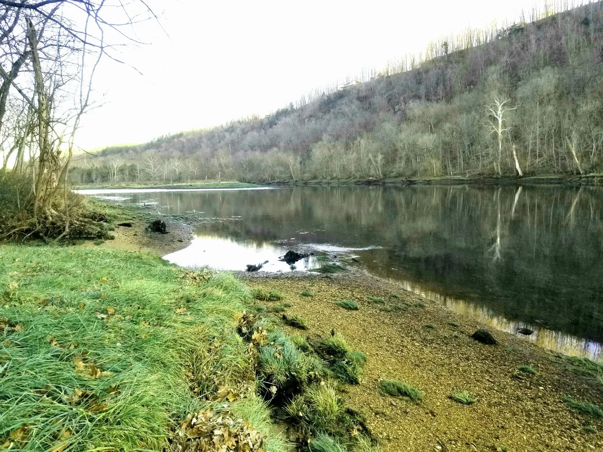 A large body of water surrounded by trees and grass