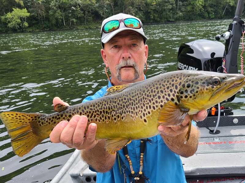 A man is holding a large brown trout in his hands.