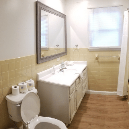 A bathroom with a toilet a sink and a mirror