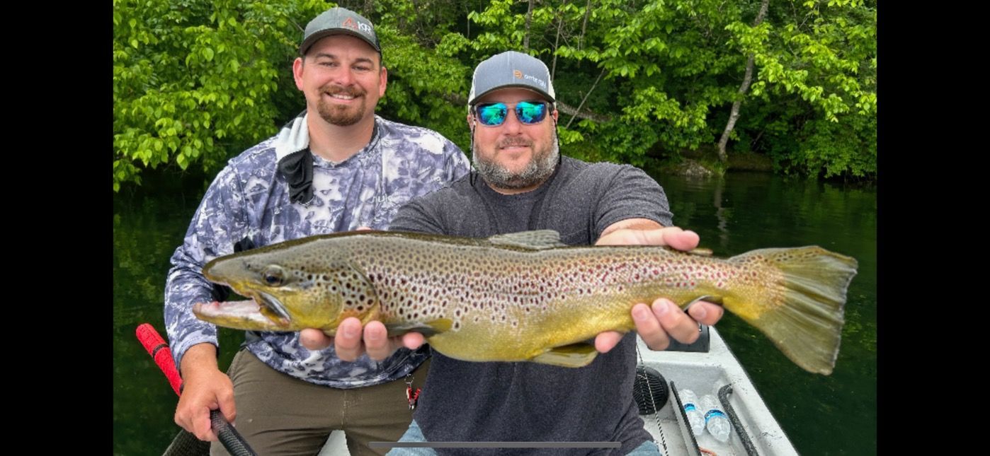 guided trout fishing white river