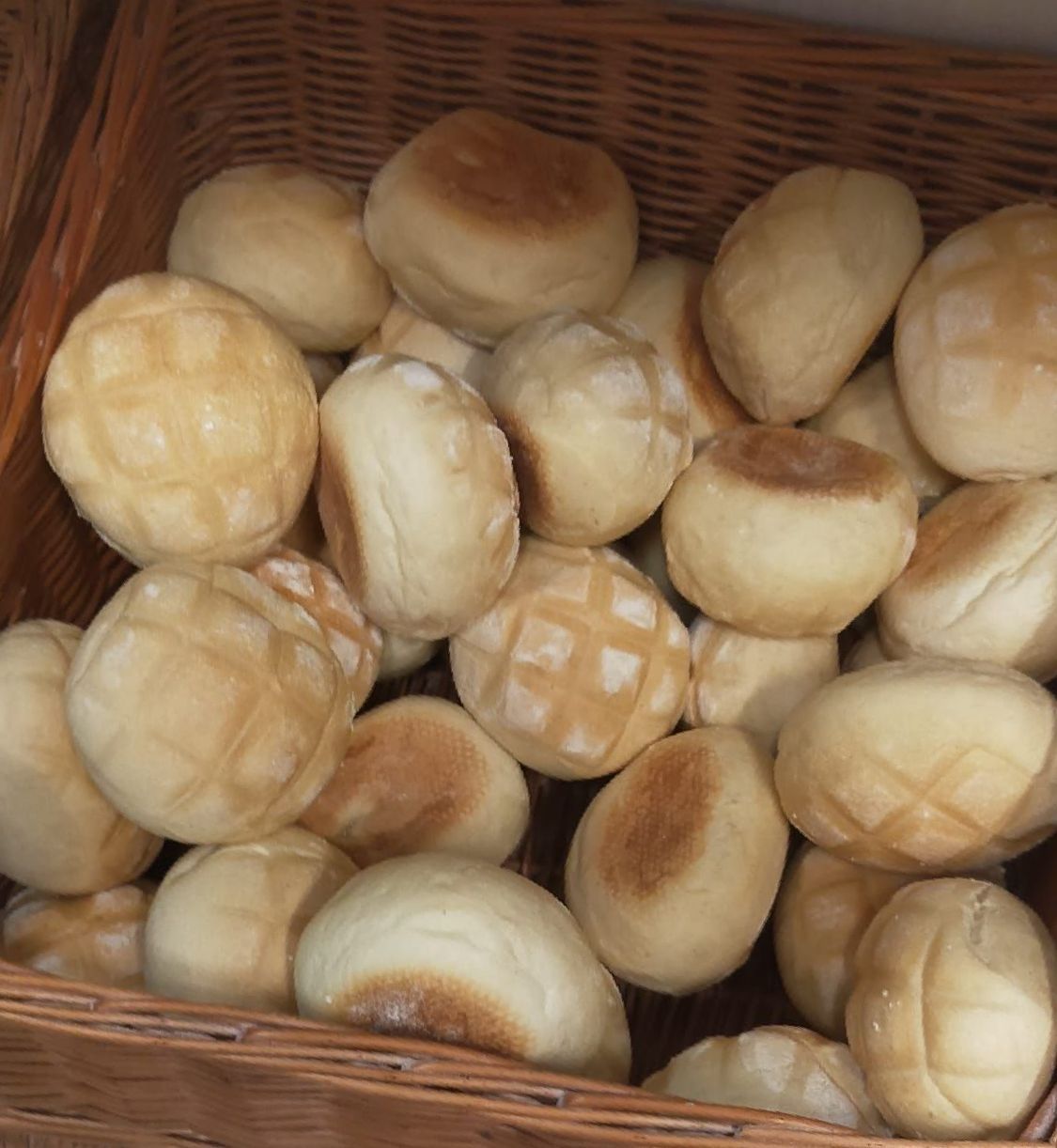 nuovo miro tartarughe pane