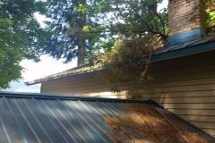 A tree has fallen on the roof of a house.