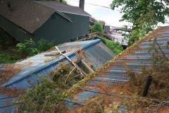 A roof with a lot of branches on it and a house in the background.