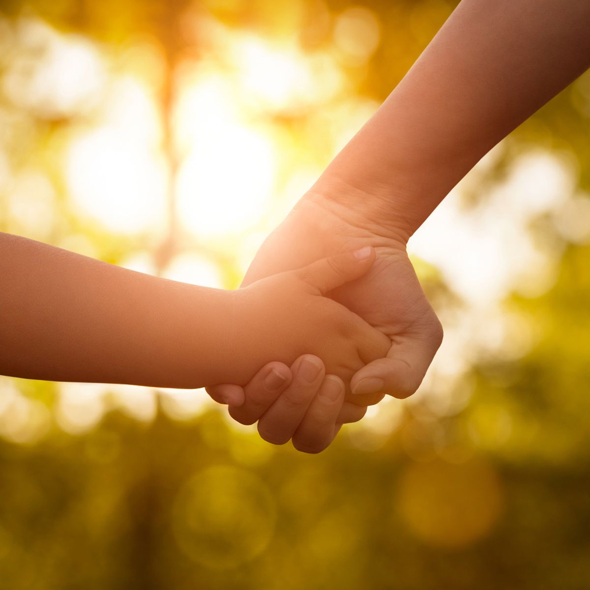 Parent and Child are Holding Hands — Elko, NV — David D. Loreman, CHTD.